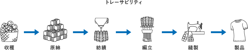 SUNCOTTON/サンコットン